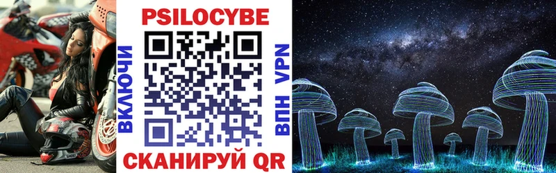 Псилоцибиновые грибы Psilocybine cubensis Новоалтайск