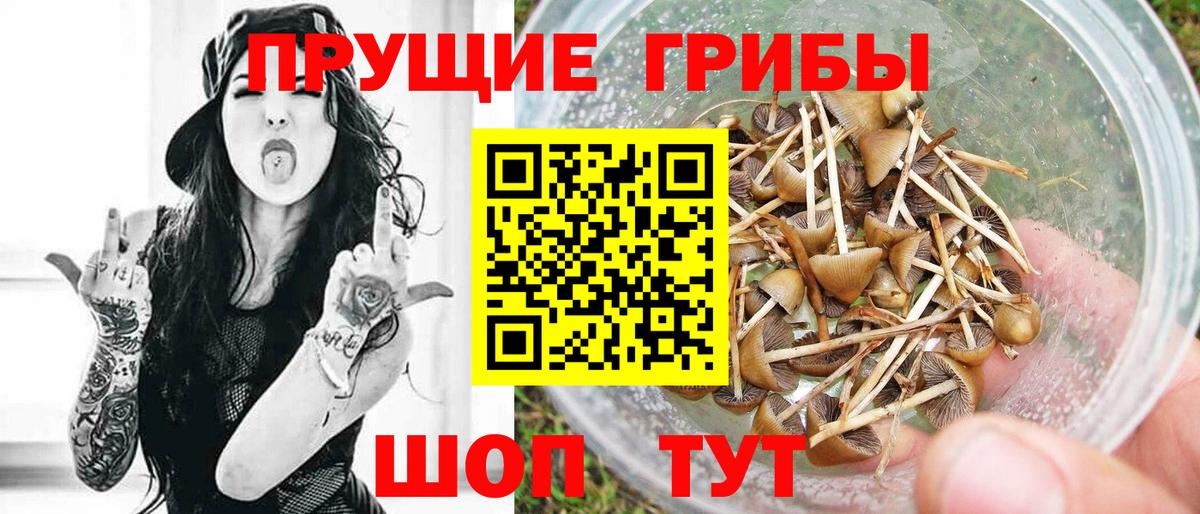 Псилоцибиновые грибы MAGIC MUSHROOMS Новоалтайск