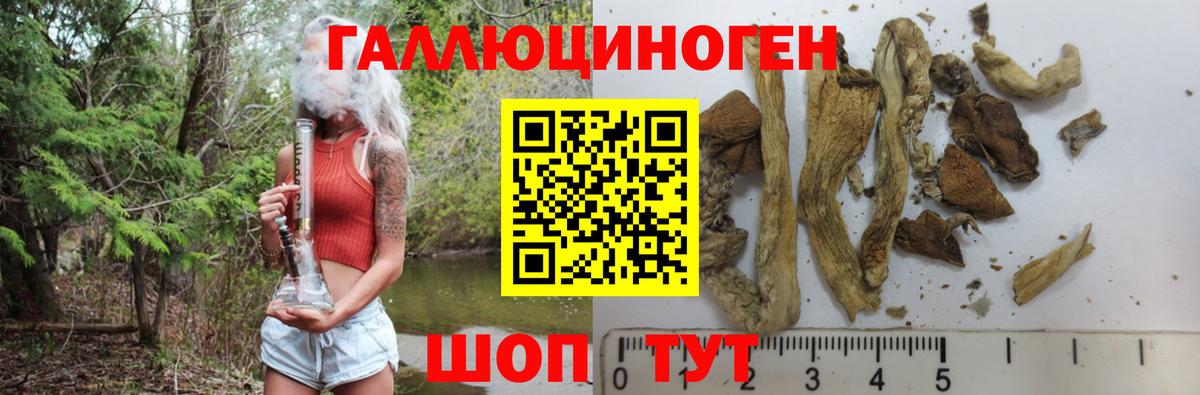 Псилоцибиновые грибы Psilocybe  Галлюциногенные грибы мухоморы  Вход с VPN  Новоалтайск 